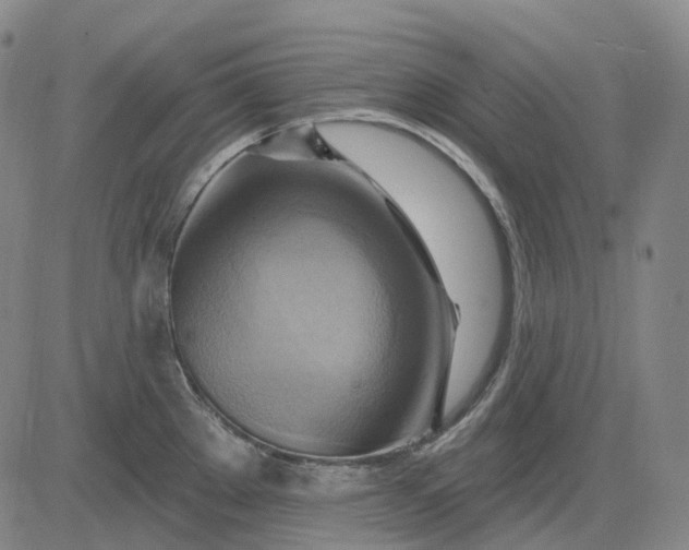 X0000083041289200702161657