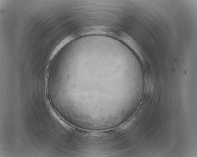 X0000083041290200702161657