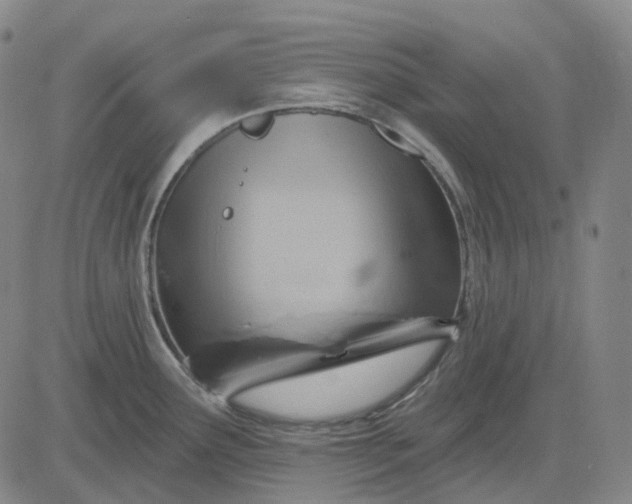 X0000083041291200702161657