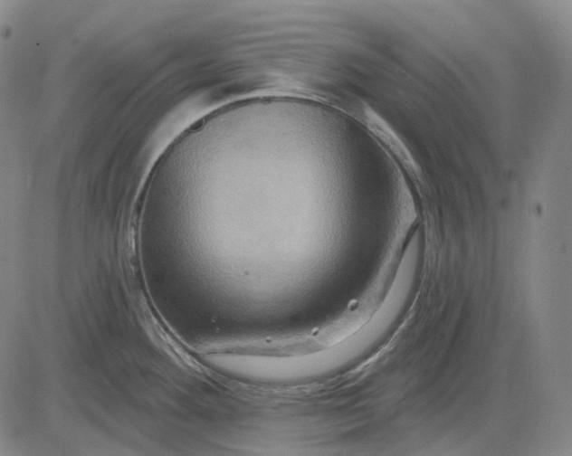 X0000083041292200702161657