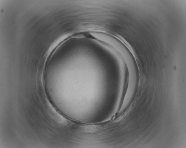 X0000083041293200702161657