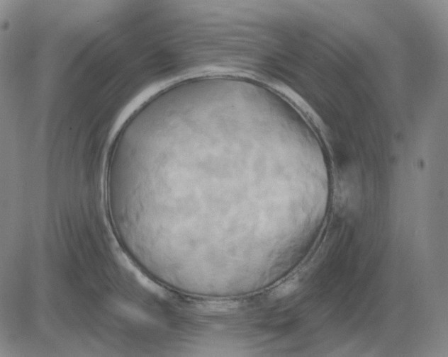 X0000083041294200702161657