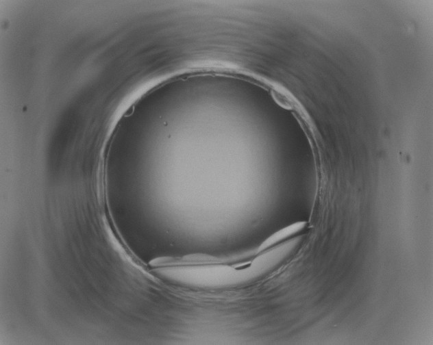 X0000083041295200702161657