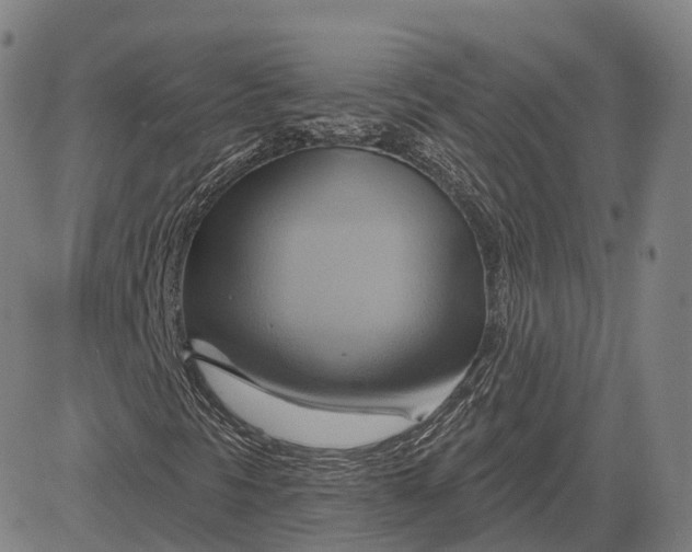 X0000083041297200702161656