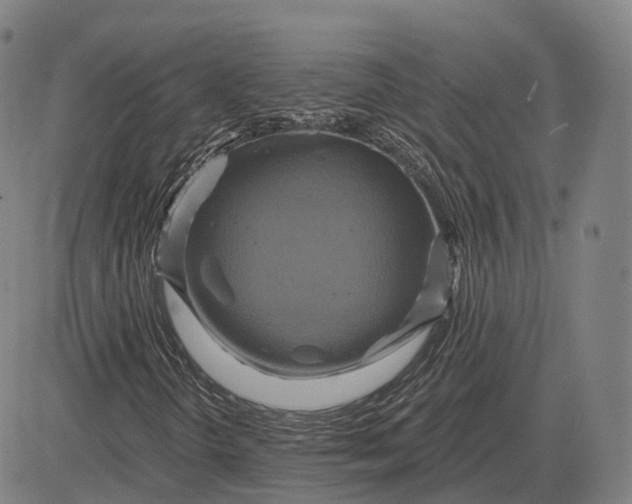 X0000083041298200702161656