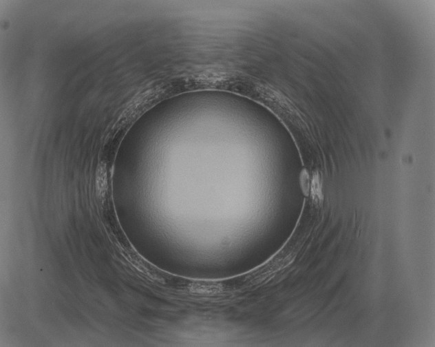 X0000083041299200702161656