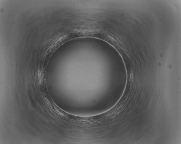 X0000083041300200702161656