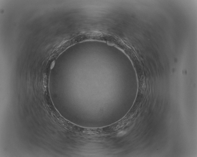 X0000083041301200702161656