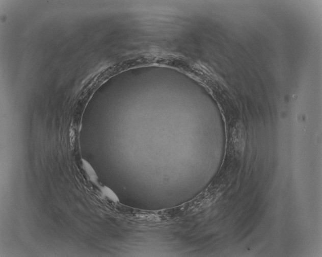 X0000083041302200702161656