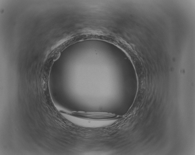 X0000083041303200702161656