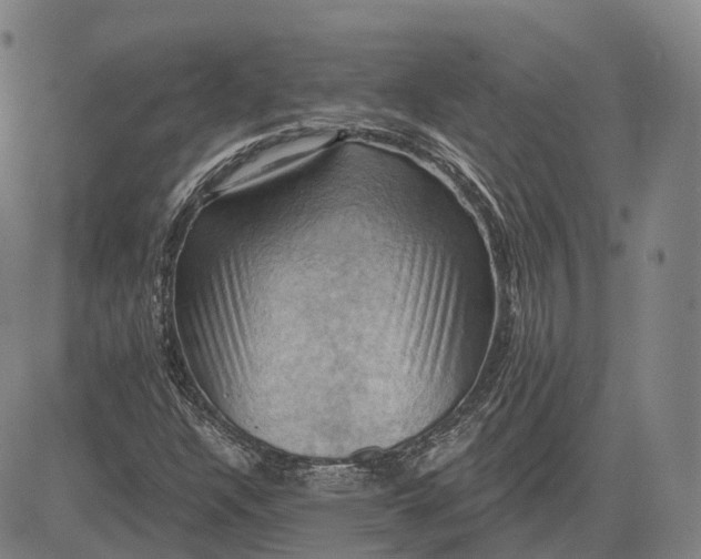 X0000083041304200702161656