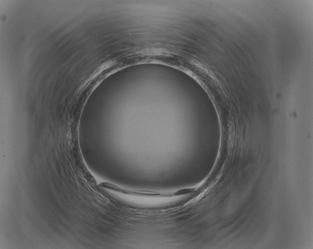 X0000083041305200702161656