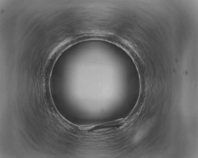 X0000083041307200702161656