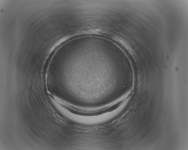 X0000083041308200702161656