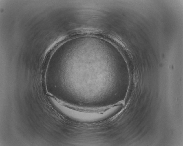 X0000083041309200702161656