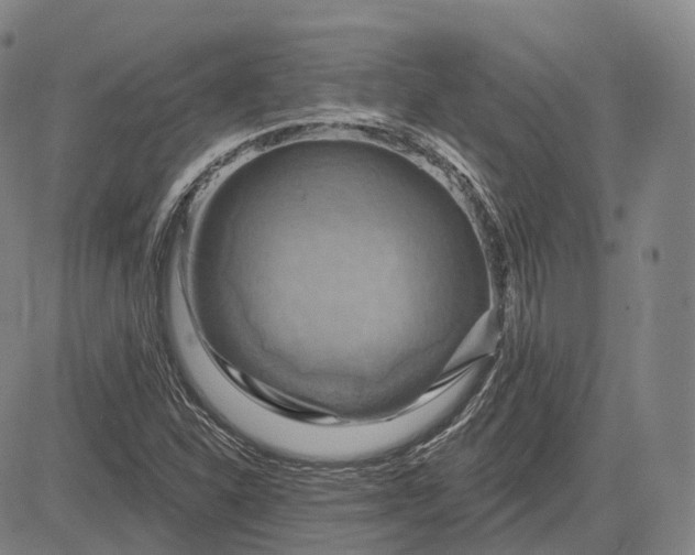 X0000083041310200702161656