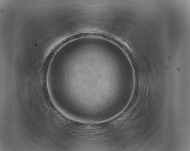 X0000083041311200702161656