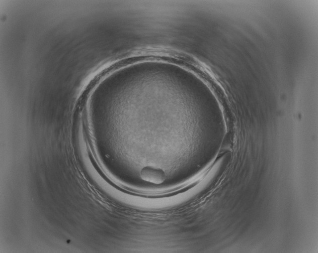 X0000083041312200702161656