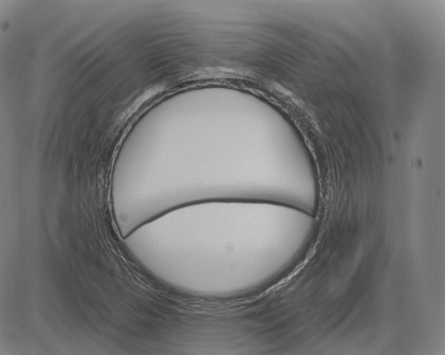 X0000083041313200702161656