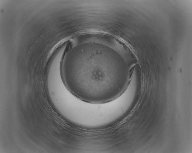 X0000083041314200702161656