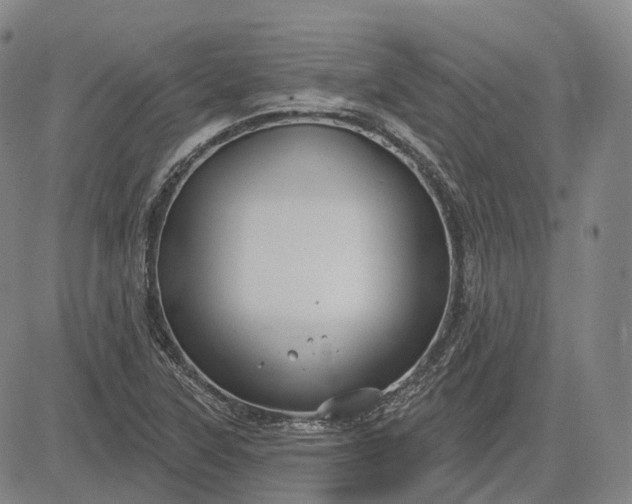 X0000083041315200702161656