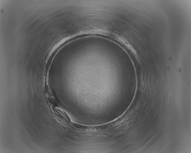 X0000083041316200702161656