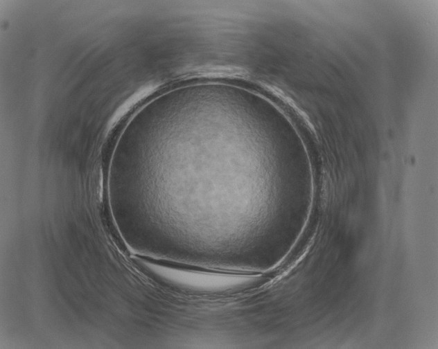 X0000083041317200702161656