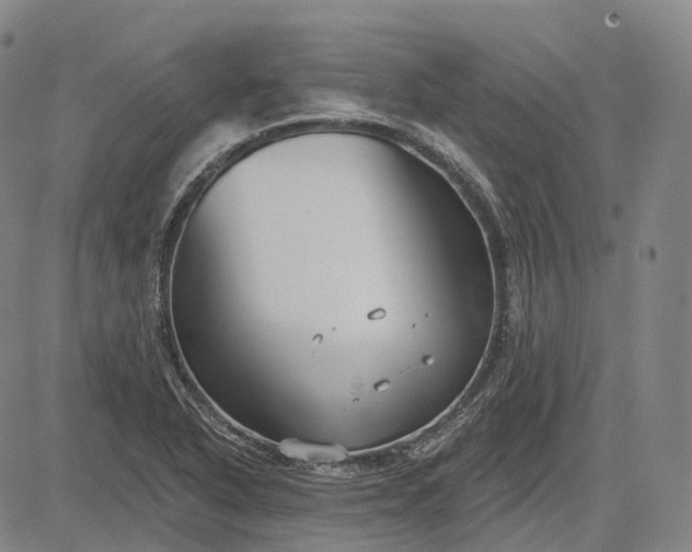 X0000083041318200702161656