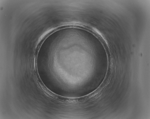 X0000083041320200702161656