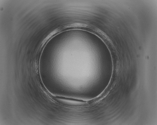 X0000083041321200702161656