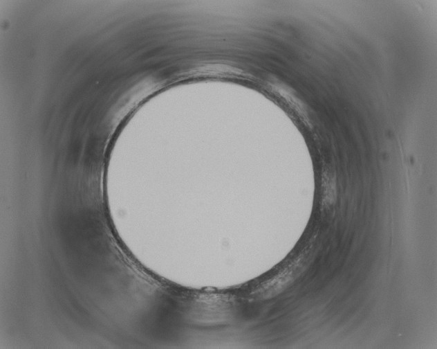 X0000083041322200702161656