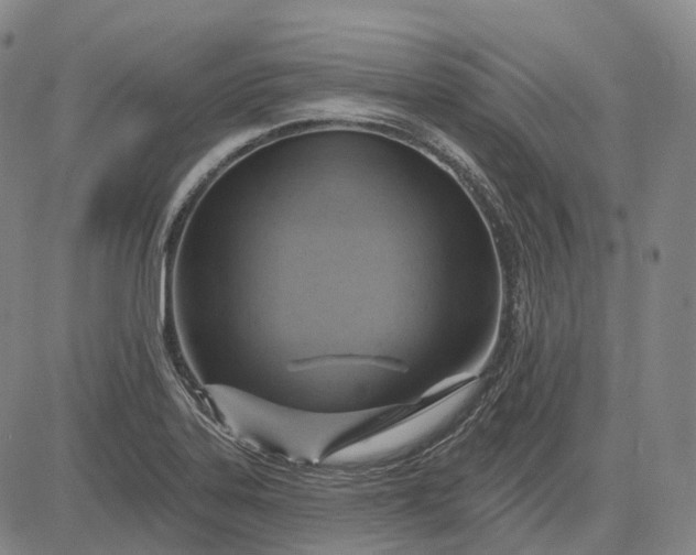 X0000083041323200702161656