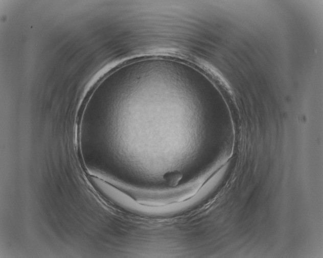 X0000083041324200702161656