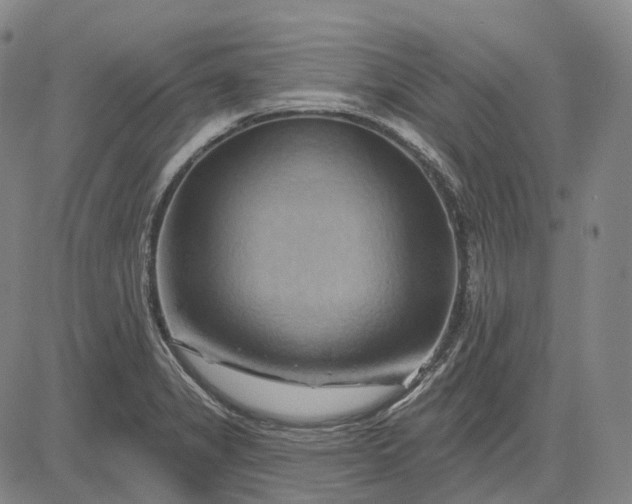 X0000083041325200702161656