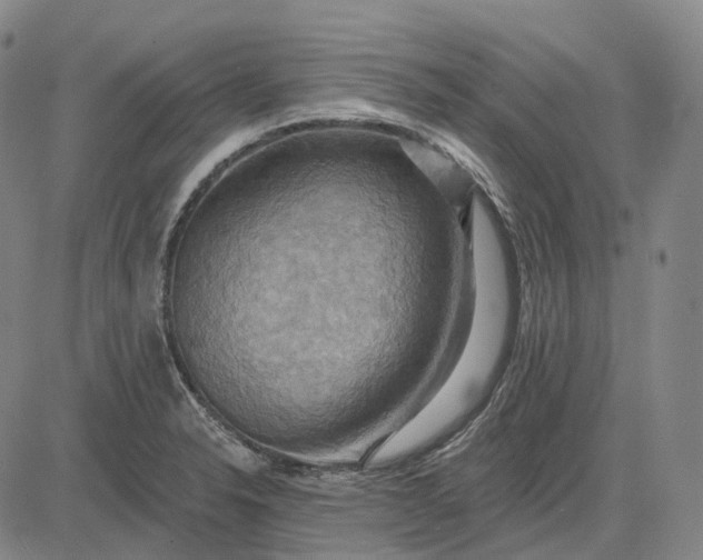 X0000083041326200702161656