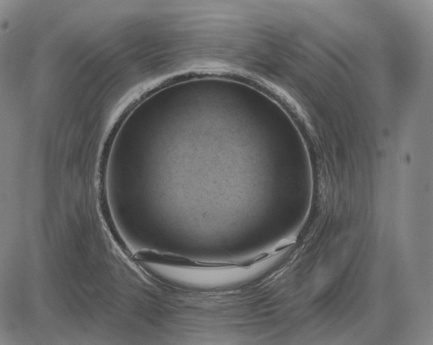 X0000083041327200702161656