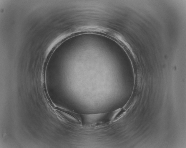 X0000083041328200702161656