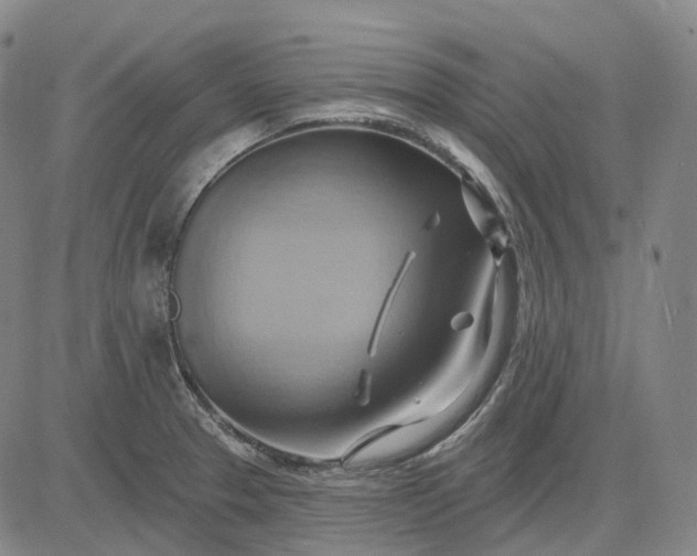 X0000083041329200702161657