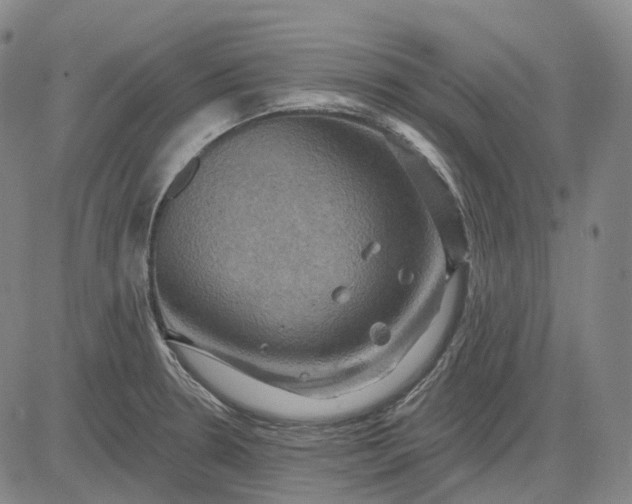 X0000083041330200702161657