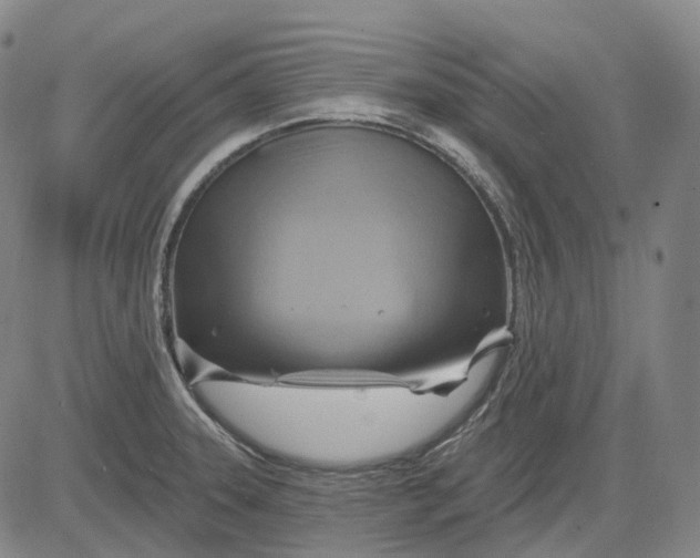 X0000083041331200702161657