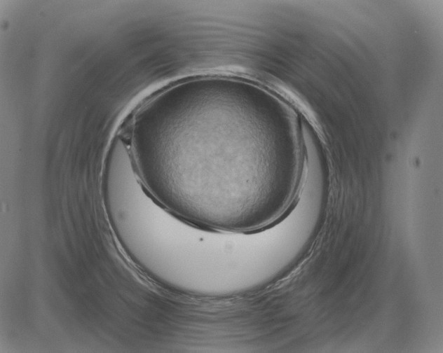 X0000083041332200702161657