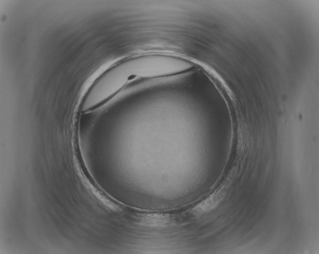 X0000083041333200702161657