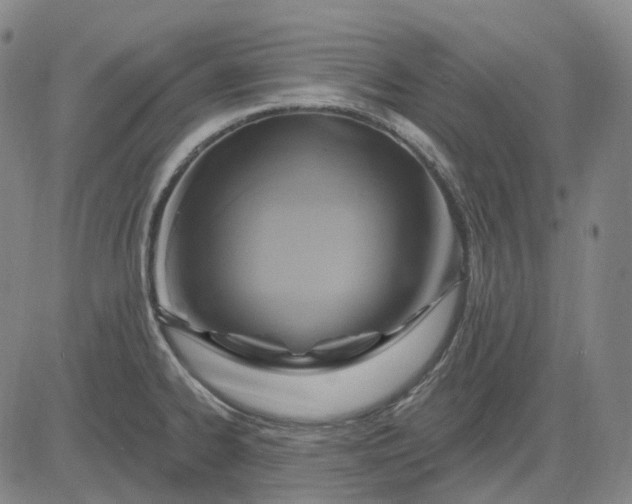 X0000083041334200702161657