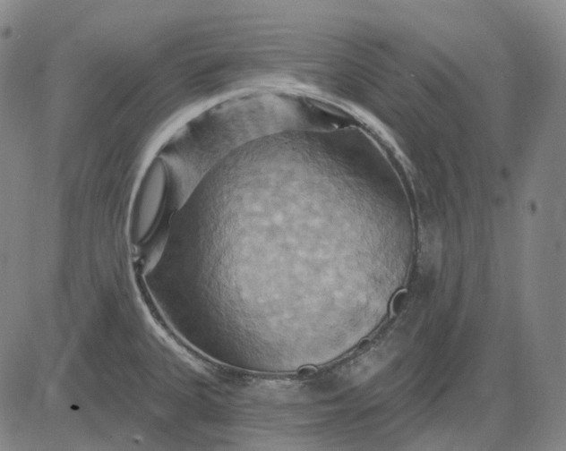 X0000083041335200702161657