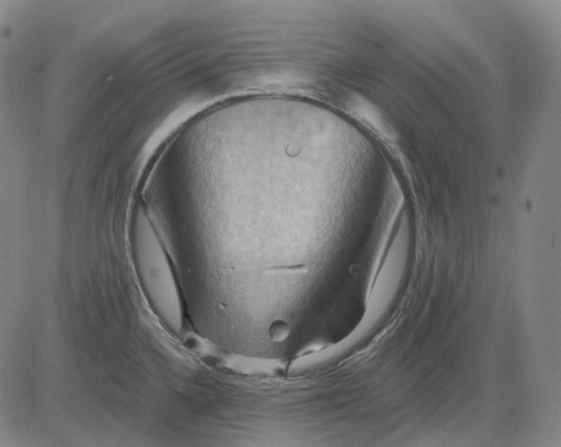 X0000083041336200702161657