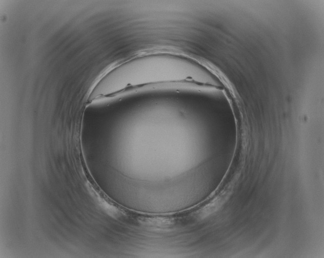 X0000083041337200702161657