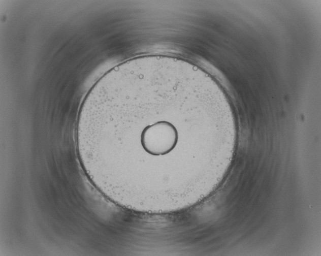 X0000083041338200702161657