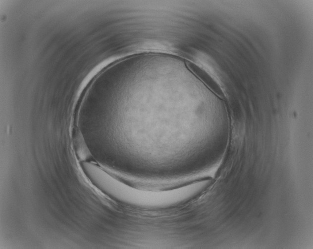 X0000083041339200702161657