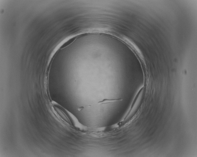 X0000083041340200702161657