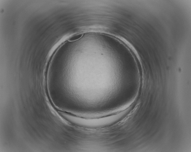 X0000083041341200702161657